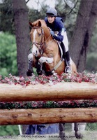 Centre Équestre - Pensions - Valorisation de chevaux de sport - Débourrage 