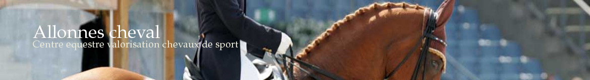 Allonnes cheval